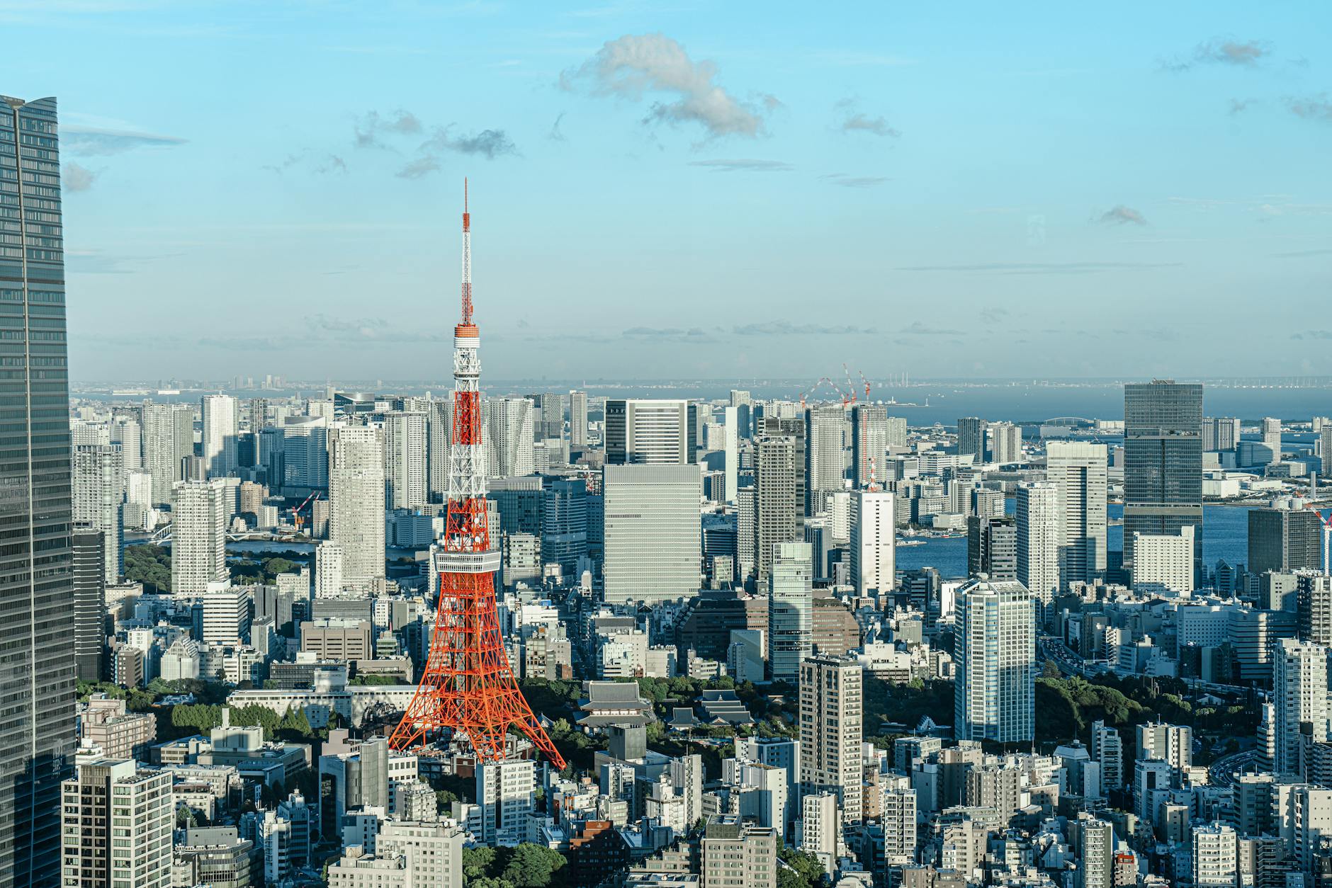 Panorama Tokio z wieżą Tokyo Tower na tle błękitnego nieba