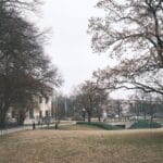 Zimowy park w Monachium z nagimi drzewami i klasyczną zabudową