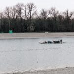 Jezioro Steinhuder Meer: jednodniowa wycieczka z Hanoweru na żagle, plażę i rower